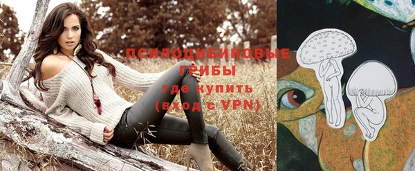 метамфетамин Богданович