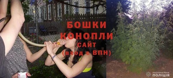бошки Богородицк