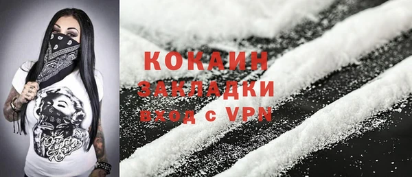 бошки Богородицк