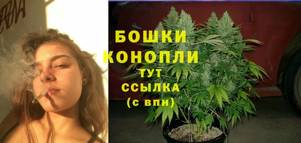 бошки Богородицк