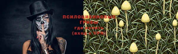 метамфетамин Богданович