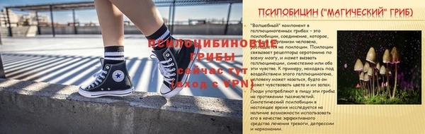 бошки Богородицк