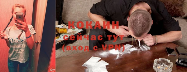бошки Богородицк